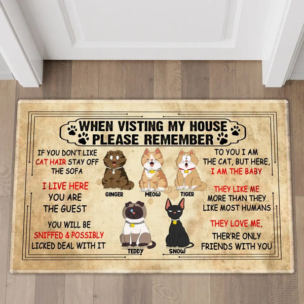 Remember When Visiting Cats House, Cat Doormat, Gifts For Cat Lovers HTL0616C03HV